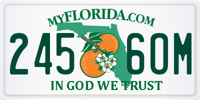 FL license plate 2456OM