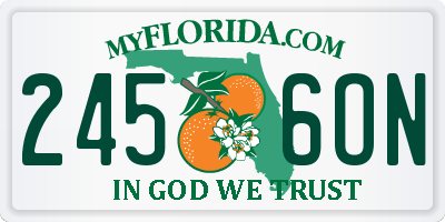 FL license plate 2456ON