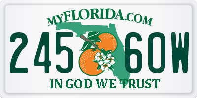 FL license plate 2456OW