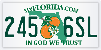 FL license plate 2456SL