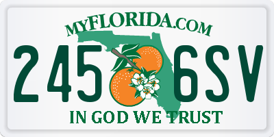 FL license plate 2456SV