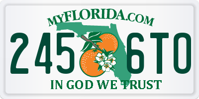 FL license plate 2456TO