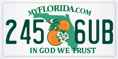 FL license plate 2456UB