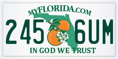 FL license plate 2456UM