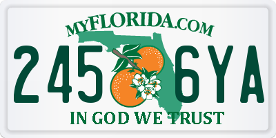 FL license plate 2456YA