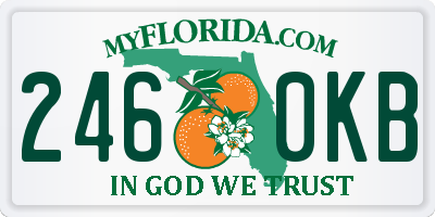 FL license plate 2460KB