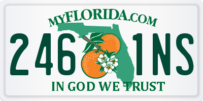 FL license plate 2461NS