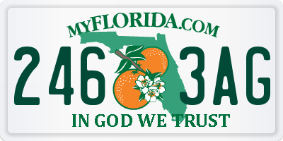 FL license plate 2463AG