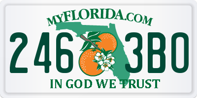 FL license plate 2463BO