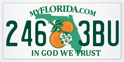 FL license plate 2463BU