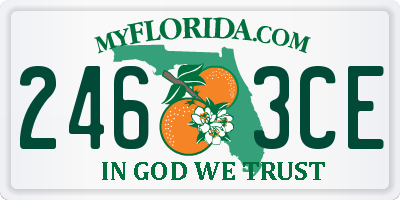 FL license plate 2463CE