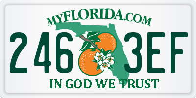 FL license plate 2463EF