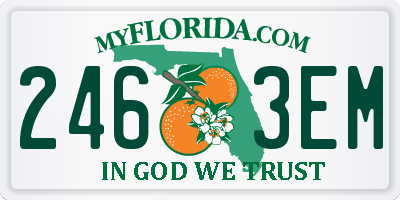 FL license plate 2463EM