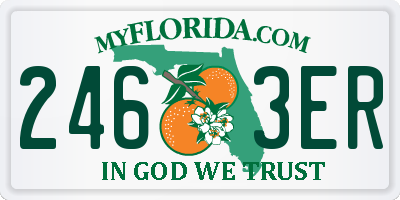 FL license plate 2463ER