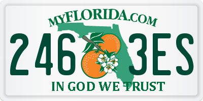 FL license plate 2463ES