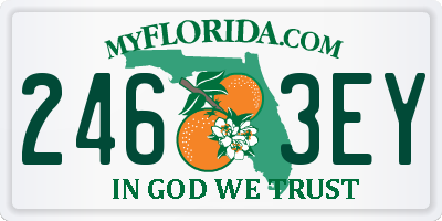 FL license plate 2463EY