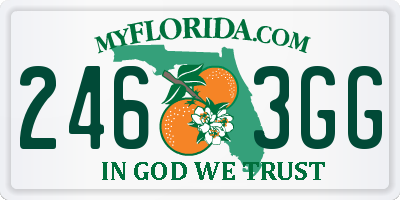 FL license plate 2463GG
