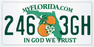 FL license plate 2463GH