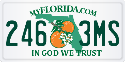 FL license plate 2463MS