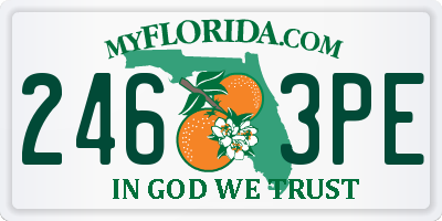 FL license plate 2463PE