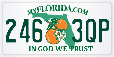 FL license plate 2463QP