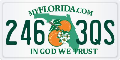 FL license plate 2463QS