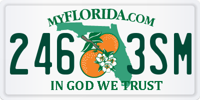FL license plate 2463SM