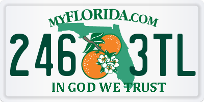FL license plate 2463TL