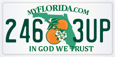 FL license plate 2463UP