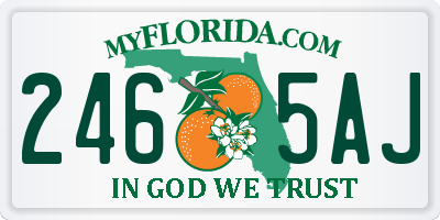 FL license plate 2465AJ