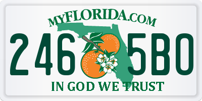 FL license plate 2465BO