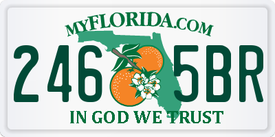 FL license plate 2465BR