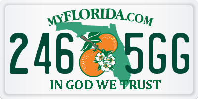 FL license plate 2465GG
