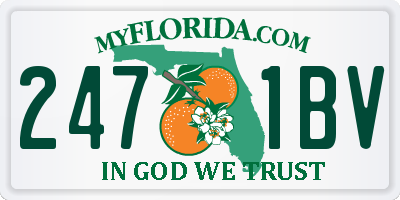 FL license plate 2471BV