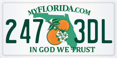 FL license plate 2473DL