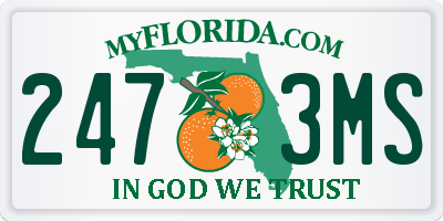 FL license plate 2473MS