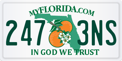 FL license plate 2473NS