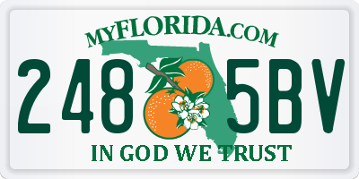 FL license plate 2485BV