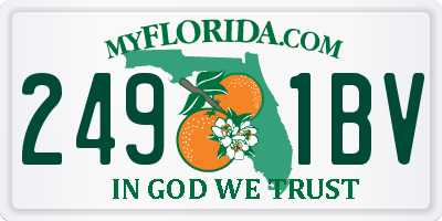 FL license plate 2491BV