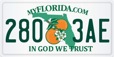 FL license plate 2803AE