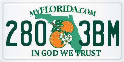 FL license plate 2803BM