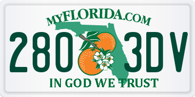 FL license plate 2803DV