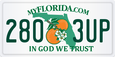 FL license plate 2803UP