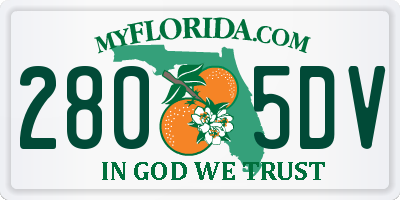 FL license plate 2805DV