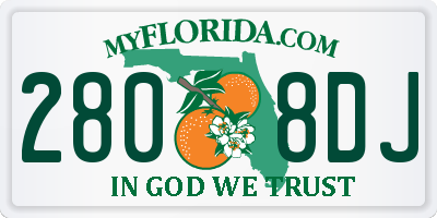 FL license plate 2808DJ