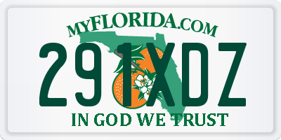 FL license plate 291XDZ