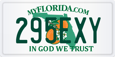 FL license plate 295EXY