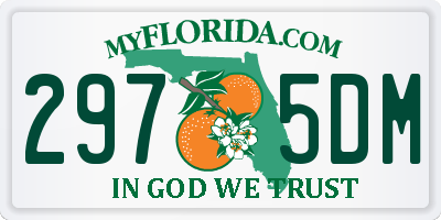 FL license plate 2975DM