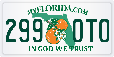 FL license plate 2990TO