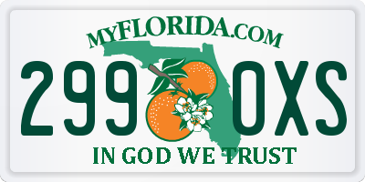 FL license plate 2990XS